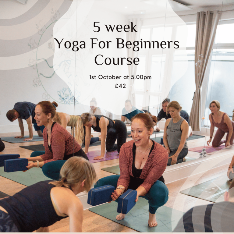 Yoga for Beginners Plymouth